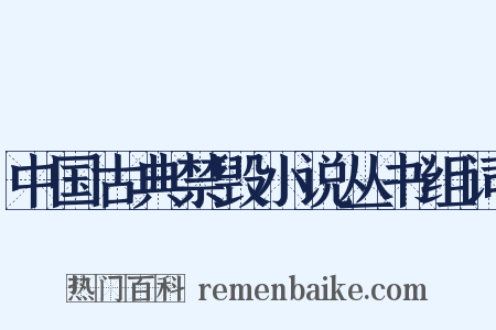 中国古典禁毁小说丛书组词是什么意思的图片
